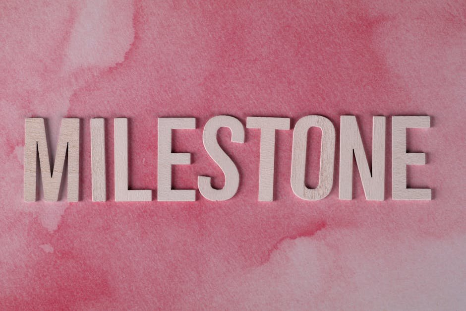 Third grade milestones for math learning