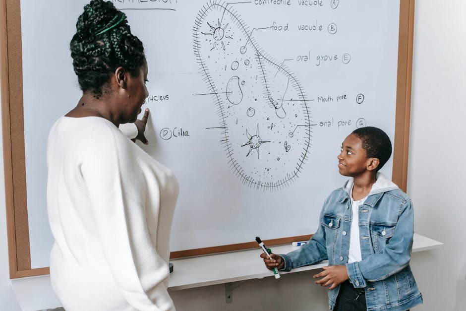 Kids using whiteboard for math learning